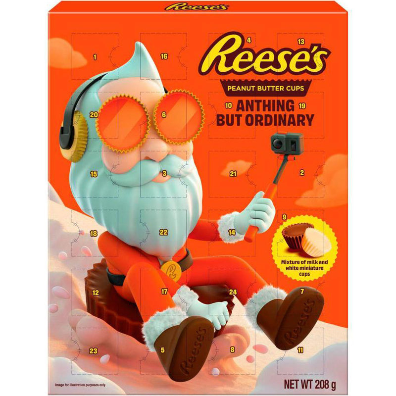 Reese's Advent Calendar 209g