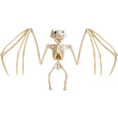 Halloween Small Skeleton Decoration Bat