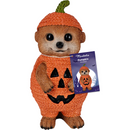 Mirabella Meerkat Figurine Pumpkin